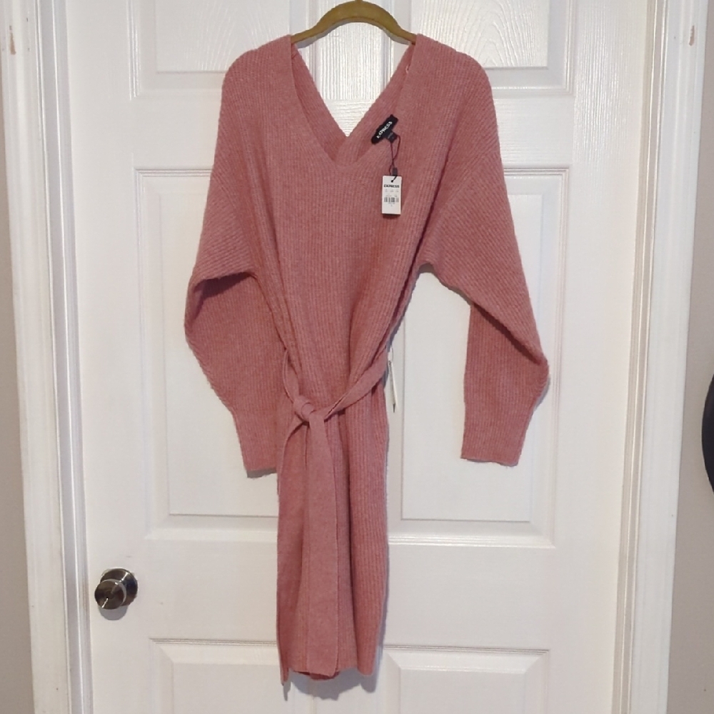 Express Blush Knit Dress